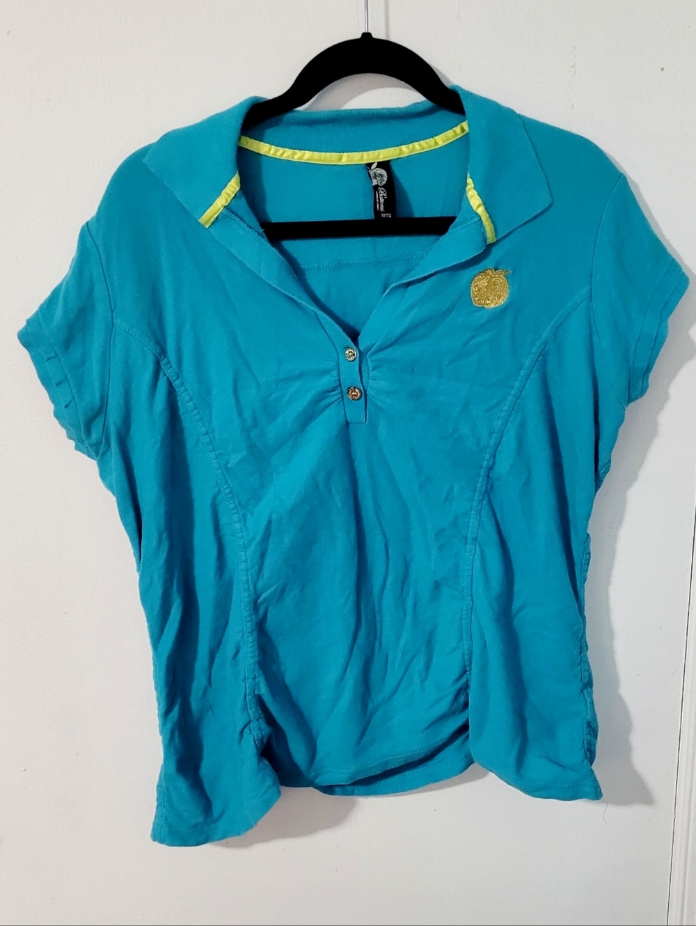 Vintage Y2K Teal Apple Bottoms Polo Shirt size Women's 1X